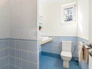 Prodej rodinného domu, Dobřejovice, Nad Mlýnským Rybníkem, 222 m2