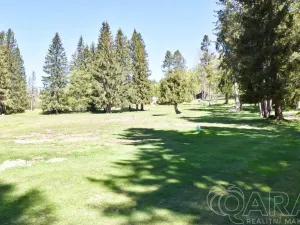 Prodej pozemku pro bydlení, Harrachov - Mýtiny, 17770 m2