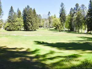 Prodej pozemku pro bydlení, Harrachov - Mýtiny, 17770 m2