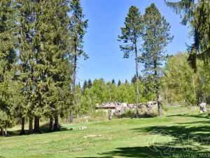 Prodej pozemku pro bydlení, Harrachov - Mýtiny, 17770 m2