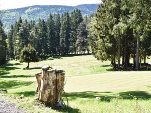 Prodej pozemku pro bydlení, Harrachov - Mýtiny, 17770 m2