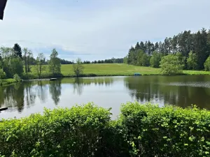 Prodej chaty, Čistá, 44 m2