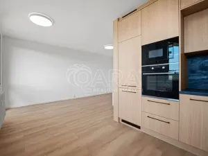 Prodej bytu 4+kk, Praha - Žižkov, U kněžské louky, 81 m2