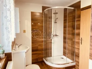 Prodej rodinného domu, Věšín, 220 m2