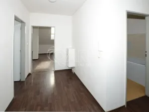 Pronájem bytu 3+kk, Holubice - Kozinec, Lesní, 95 m2