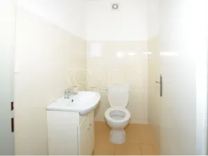 Pronájem bytu 3+kk, Holubice - Kozinec, Lesní, 95 m2