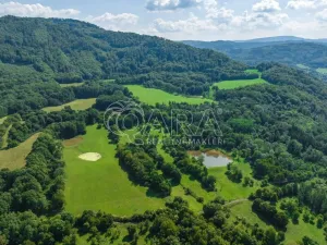 Prodej rybníku, Vojkovice, 40470 m2