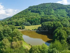 Prodej rybníku, Vojkovice, 105479 m2