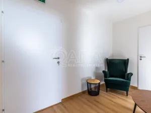 Pronájem kanceláře, Praha - Michle, Brtnická, 45 m2