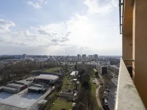 Prodej bytu 1+kk, Ostrava - Moravská Ostrava, Gen. Píky, 27 m2