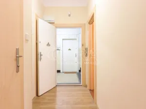 Pronájem bytu 2+kk, Praha - Dejvice, Koulova, 40 m2