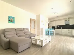 Pronájem bytu 2+kk, Brno, Hrozňatova, 72 m2