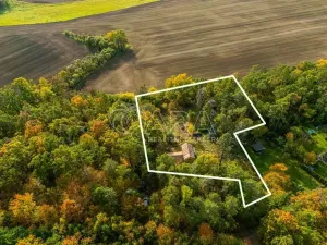 Prodej pozemku pro bydlení, Nové Dvory - Krámy, 3271 m2