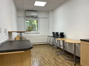 Pronájem kanceláře, Praha - Krč, Nová cesta, 122 m2
