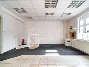 Prodej obchodního prostoru, Ostrava - Svinov, Bílovecká, 94 m2