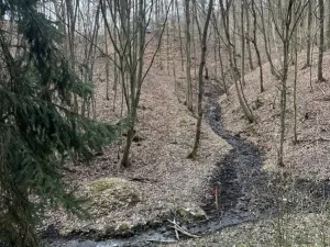 Prodej chaty, Nižbor - Žloukovice, 35 m2