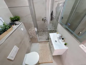 Prodej bytu 1+kk, Plzeň - Doudlevce, Šimerova, 21 m2