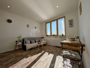 Prodej bytu 1+kk, Plzeň - Doudlevce, Šimerova, 21 m2