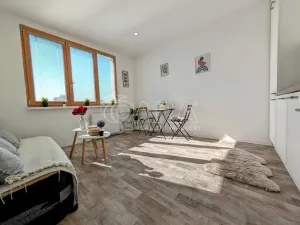 Prodej bytu 1+kk, Plzeň - Doudlevce, Šimerova, 21 m2