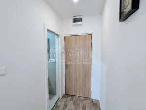 Prodej bytu 1+kk, Plzeň - Doudlevce, Šimerova, 21 m2