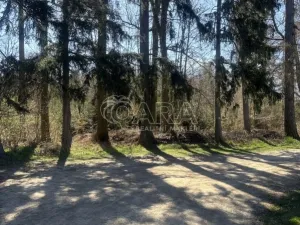 Prodej chaty, Libeř, 44 m2