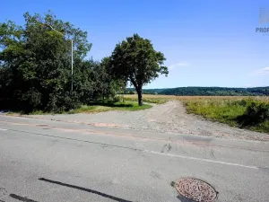 Prodej pozemku pro bydlení, Viničné Šumice, 1648 m2