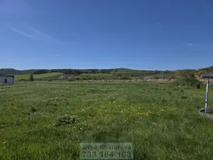 Prodej pozemku pro bydlení, Krnov - Krásné Loučky, 1200 m2