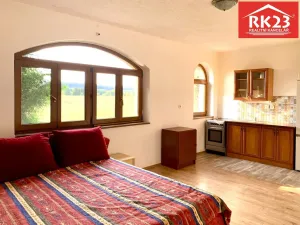 Pronájem bytu 1+kk, Drmoul, 40 m2