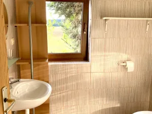 Pronájem bytu 1+kk, Drmoul, 40 m2