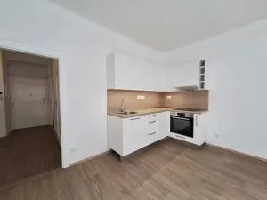 Pronájem bytu 3+kk, Brno - Staré Brno, Pekařská, 60 m2
