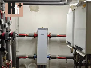 Prodej činžovního domu, Ostrava, Olešní, 2095 m2