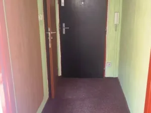 Pronájem bytu 1+kk, Chomutov, Kostnická, 20 m2