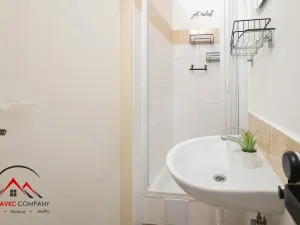 Pronájem bytu 1+1, Ostrava, Mariánskohorská, 41 m2