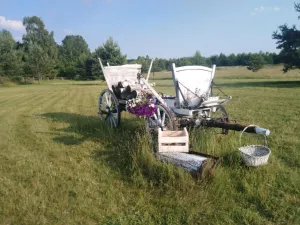 Prodej chaty, Ralsko - Kuřívody, 40 m2