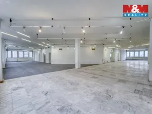 Pronájem výrobních prostor, Plzeň - Severní Předměstí, alej Svobody, 641 m2