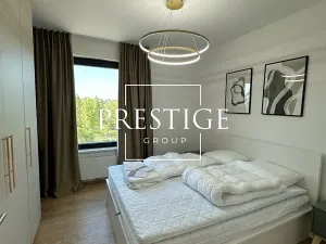 Pronájem bytu 2+kk, Praha - Karlín, Sokolova, 65 m2