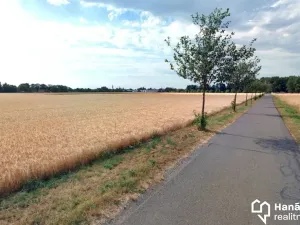 Prodej pole, Litovel, 4912 m2