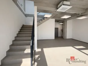 Pronájem obchodního prostoru, Brno, Vinohradská, 444 m2