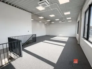 Pronájem obchodního prostoru, Brno, Vinohradská, 444 m2