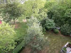 Pronájem bytu 3+kk, Praha - Žižkov, Pod kapličkou, 85 m2