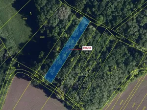 Dražba lesa, Přísnotice, 1135 m2