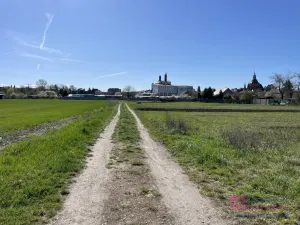 Prodej zahrady, Břeclav - Poštorná, 369 m2