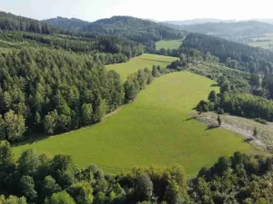 Dražba louky, Chlistov, 4212 m2