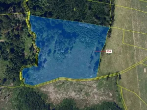 Dražba lesa, Libkov, 25540 m2