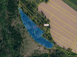 Dražba lesa, Čikov, 5885 m2