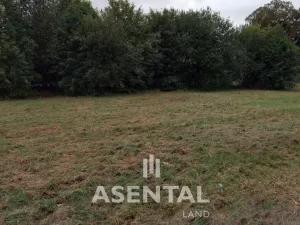 Prodej pozemku, Orlová - Poruba, Závodní, 12324 m2