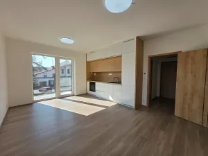 Pronájem bytu 2+kk, Frýdlant nad Ostravicí, Lubenská, 53 m2