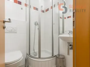 Prodej vícegeneračního domu, Brno, 576 m2