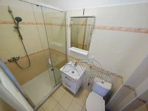 Pronájem bytu 2+1, České Budějovice, 54 m2