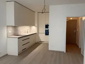 Pronájem bytu 2+kk, Praha - Vysočany, Gerstelova, 53 m2